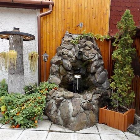 Tulipan Panzio Acomodação com café da manhã Sfântu-Gheorghe Exterior foto
