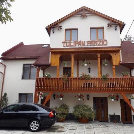 Tulipan Panzio Acomodação com café da manhã Sfântu-Gheorghe Exterior foto