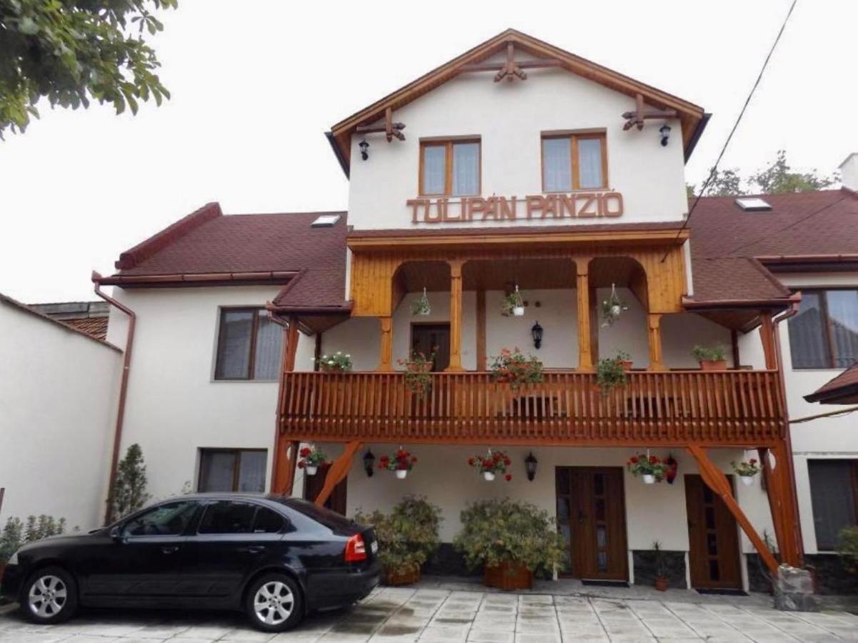 Tulipan Panzio Acomodação com café da manhã Sfântu-Gheorghe Exterior foto