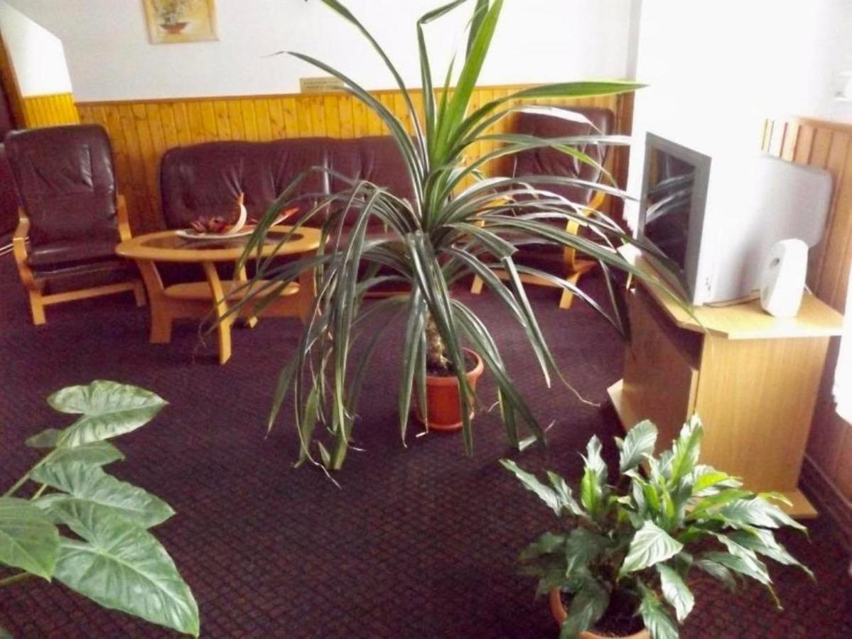 Tulipan Panzio Acomodação com café da manhã Sfântu-Gheorghe Exterior foto